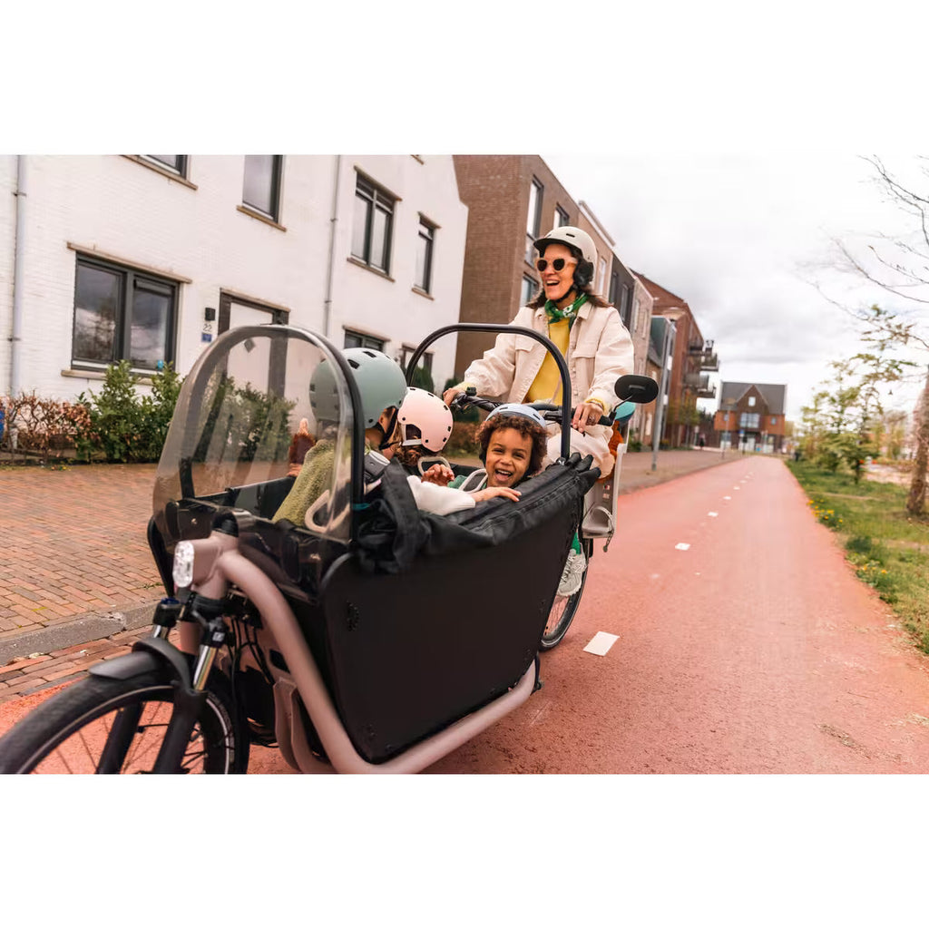 Cargo-Bike F900e